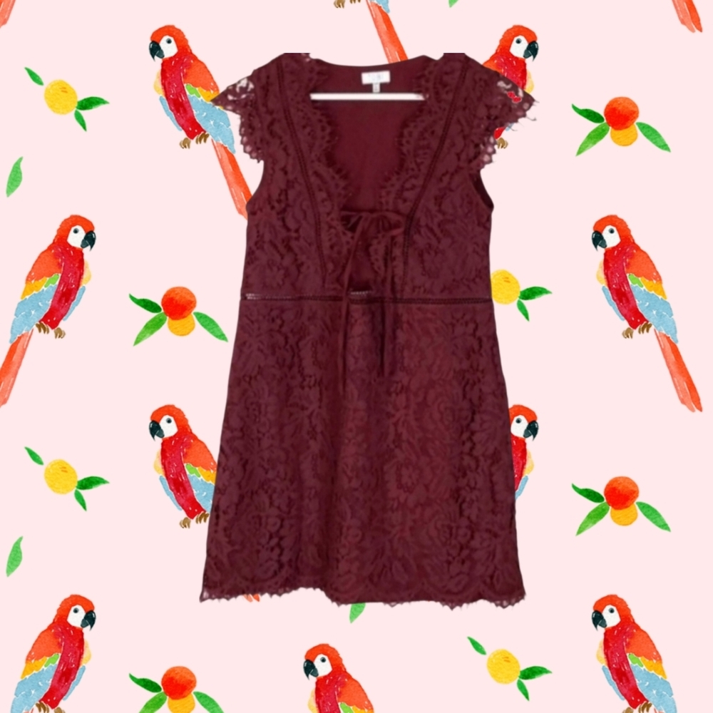 Burgundy Lace Party Dress in Purple Wine Color, S Petite
